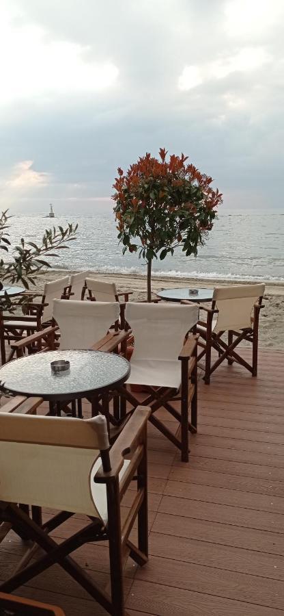 Themis Beach Paralía Zewnętrze zdjęcie